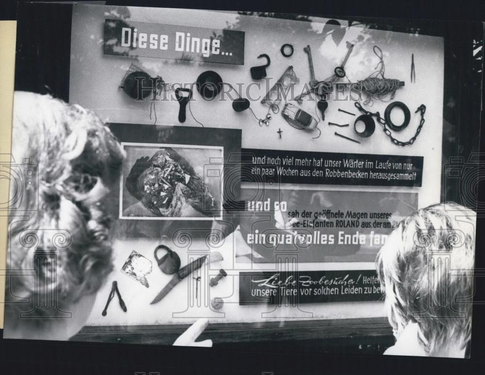 1967 Press Photo Exhibit on Items Animals Have Swallowed. Berlin Zoo. - Historic Images