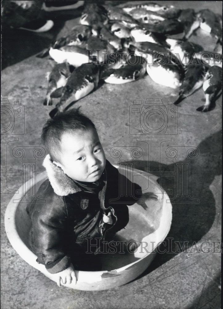 1970 Press Photo Little Korean Boy in a Tub. - Historic Images