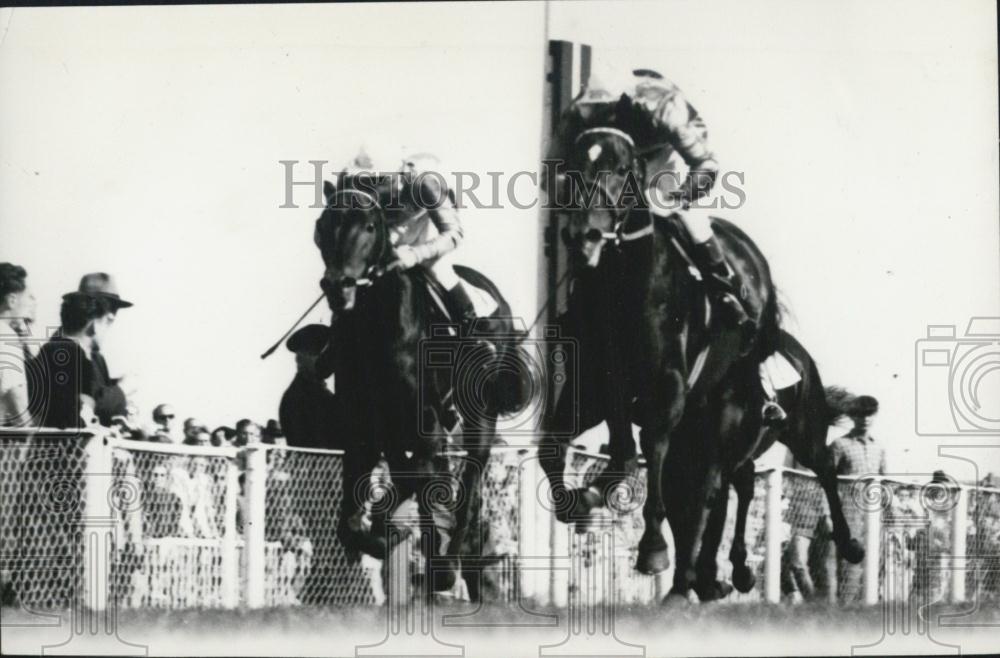 1954 Press Photo Winner of Deutschen Derby. Hein Golld on "Grenzblock." - Historic Images