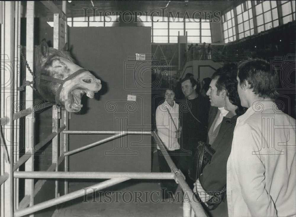 1979 Press Photo Large horse at agriculture & machine exhibit in Paris - Historic Images