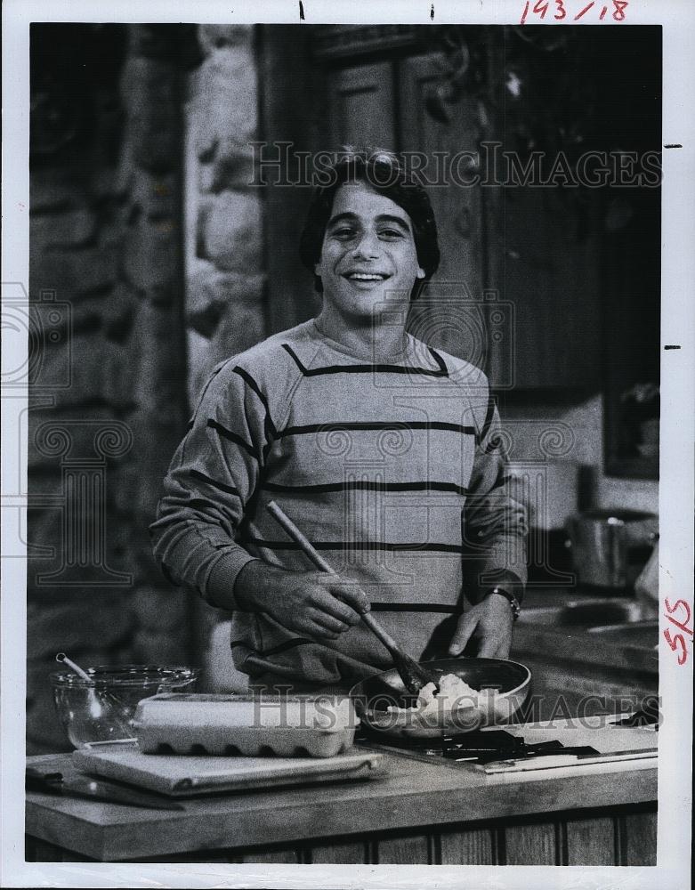 1984 Press Photo Actor Tony Danza stars in &quot;Who&#39;s The Boss?&quot; - RSL71161 - Historic Images