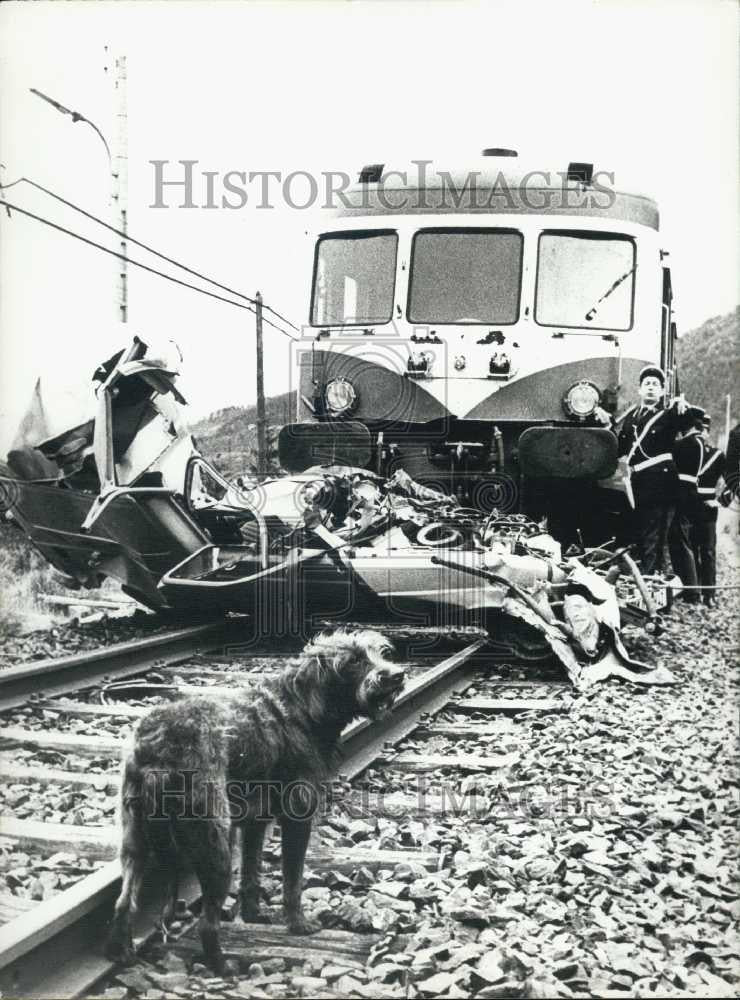 1977 Press Photo Dog on Train Tracks Car Hit by Train France - Historic Images