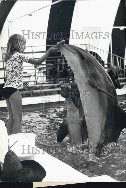 1973 Press Photo Missy and dolphins at The Dolphinarium Gardens in France - Historic Images