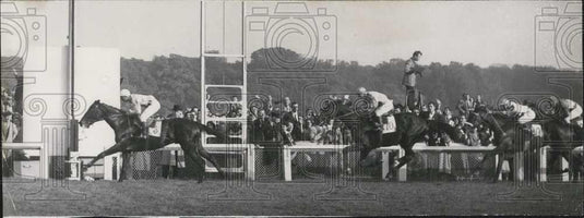 1951 Press Photo 