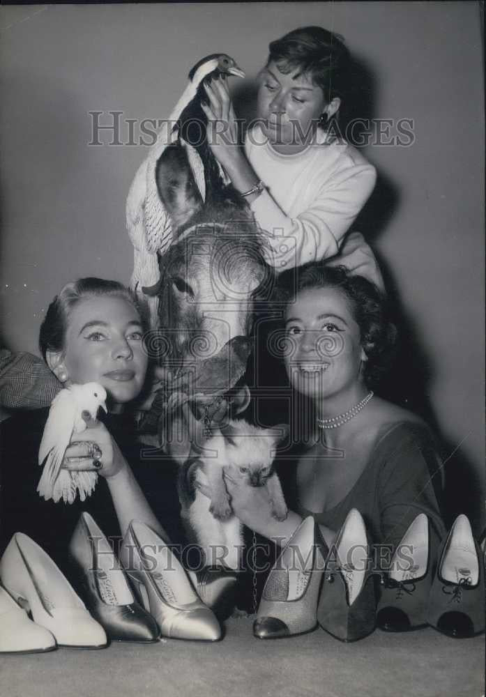 1956 Press Photo Models with shoe fashions by Baptiser and some animals - Historic Images