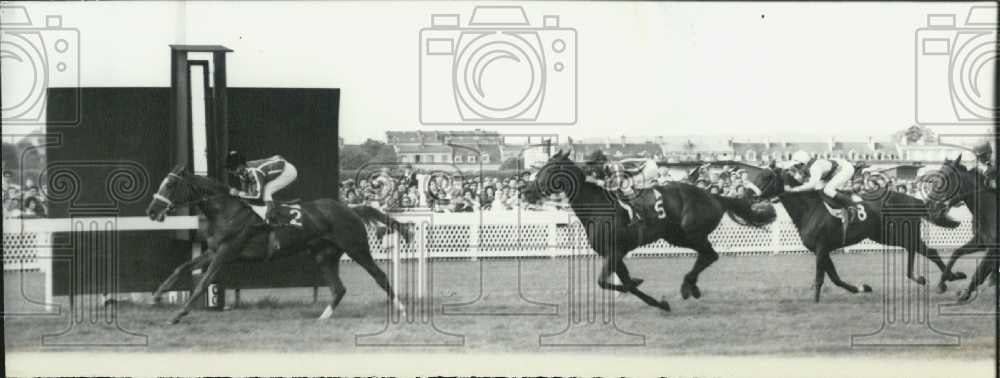 1965 Press Photo &quot;Blabla&quot; wins Diane race in France - Historic Images