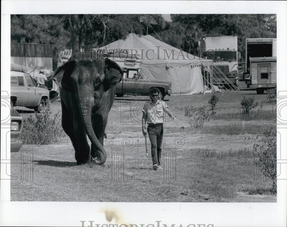 1989 Press Photo Tom Thompson walks w/ Liz the Asian elephant after cooling off - Historic Images