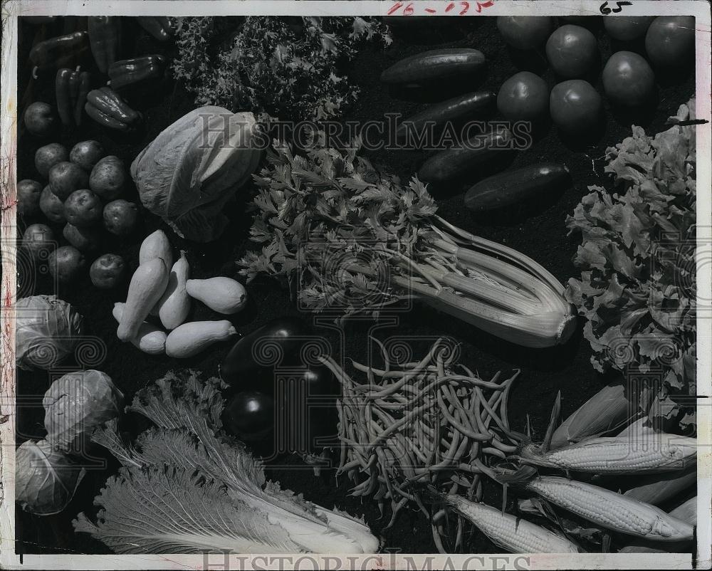 1965 Press Photo Florida Grown Winter Vegetables - RSL96951 - Historic Images