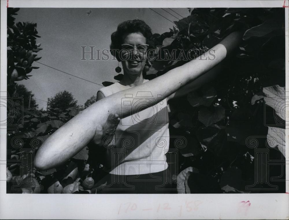 1971 Press Photo Mrs Conrad Powell Lagenaria member gourd family - RSL97173 - Historic Images