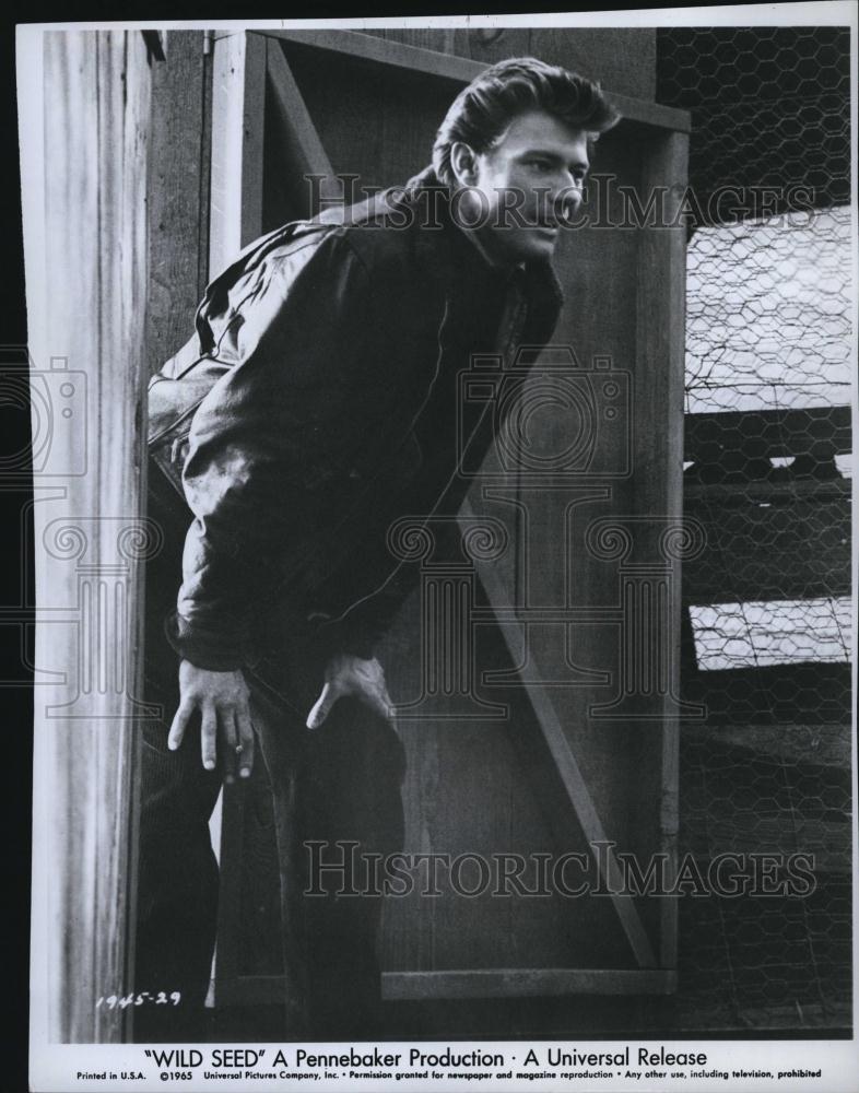 1965 Press Photo Wild Seed Actor Michael Parks Movie Star - RSL78507 - Historic Images