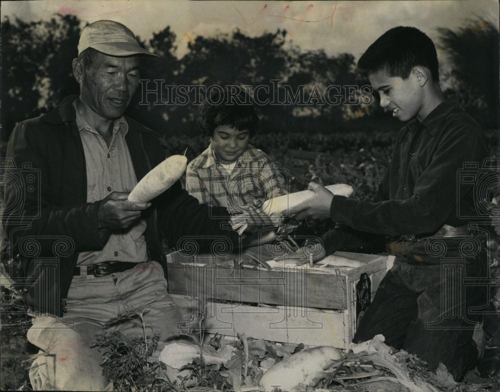 1970 Press Photo Charley, Eastern, And Nancy Tin, Radish, Chinese Vegetables - Historic Images