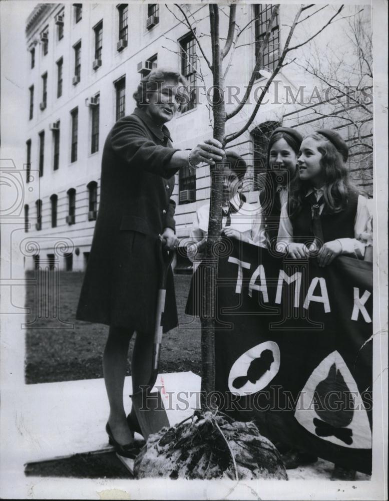 1971 Press Photo Mrs Francis Sargent and Campfire Girls Plant Arbor Day Tree - Historic Images