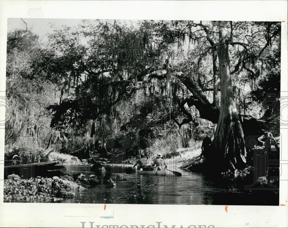 1991 Press Photo Canoeist on Withlacoochee River in Florida - RSL69105 - Historic Images