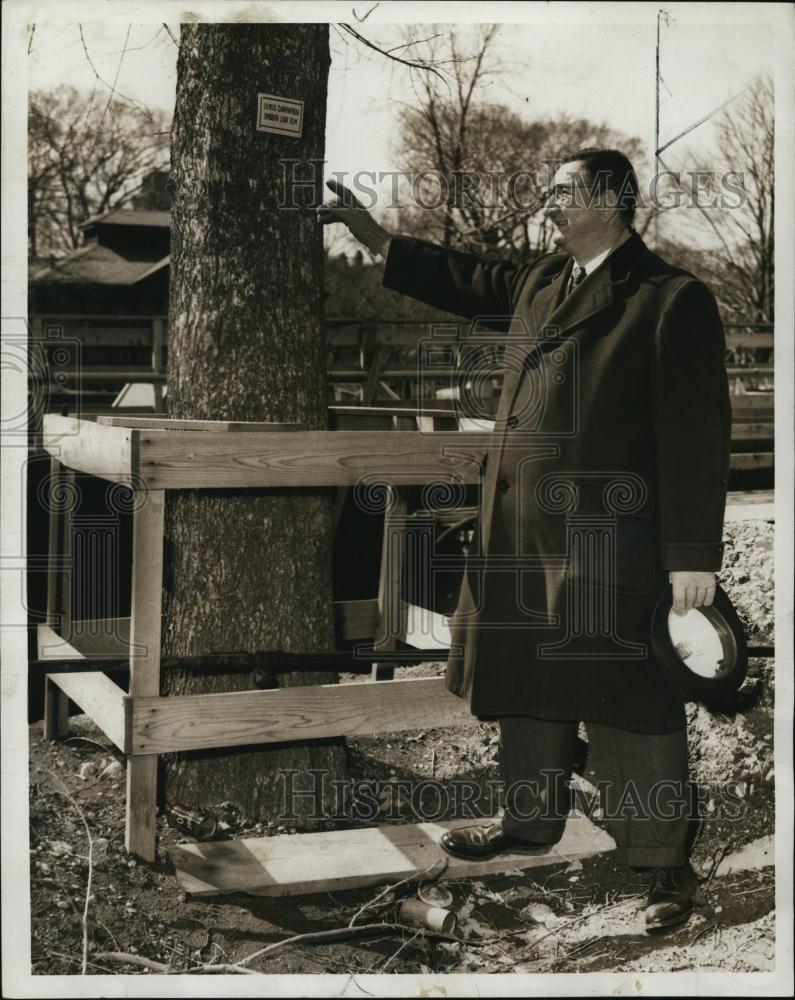 1961 Press Photo Herman Carp, General Manager of Mass Parking Authority - Historic Images