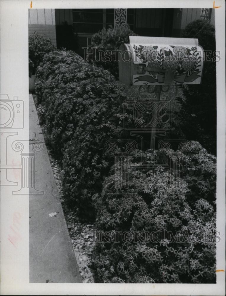 1970 Press Photo Charles F Thompson&#39;s Mailbox - RSL91703 - Historic Images