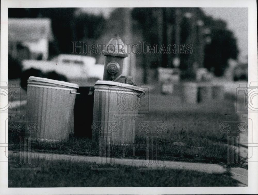 1970 Press Photo Pinellas Park, Fla fire hydrant surronded by trash cans - Historic Images