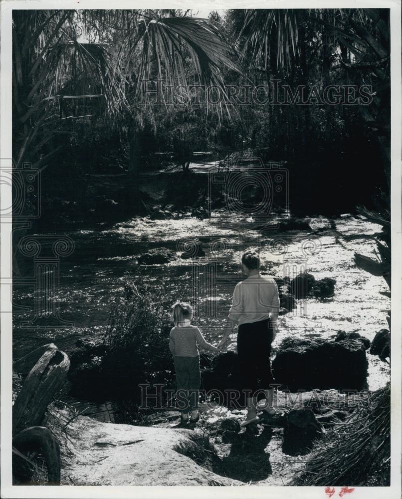 1964 Press Photo Floridas Hillsborough River near Tampa - RSL65885 - Historic Images