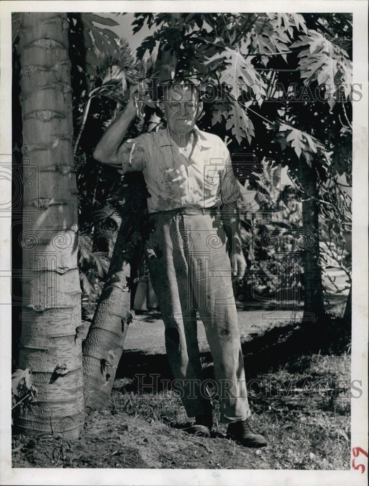 1959 Press Photo D Lawrence Miller Stands By Trunk Of Papaya Tree - RSL64289 - Historic Images