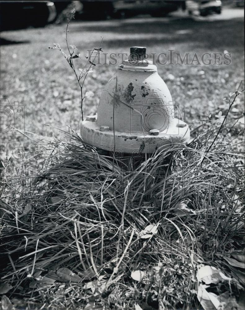 1978 Press Photo Fireplug at the corner of North Line and Zephyr Avenue - Historic Images