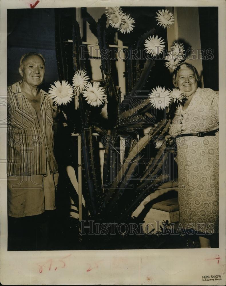 1960 Press Photo Mr Mrs John Ziegler Tall night-blooming cereus - RSL91111 - Historic Images