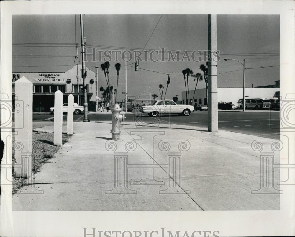 1964 Press Photo Fire hydrant on street side in St Petersberg, Florida - Historic Images