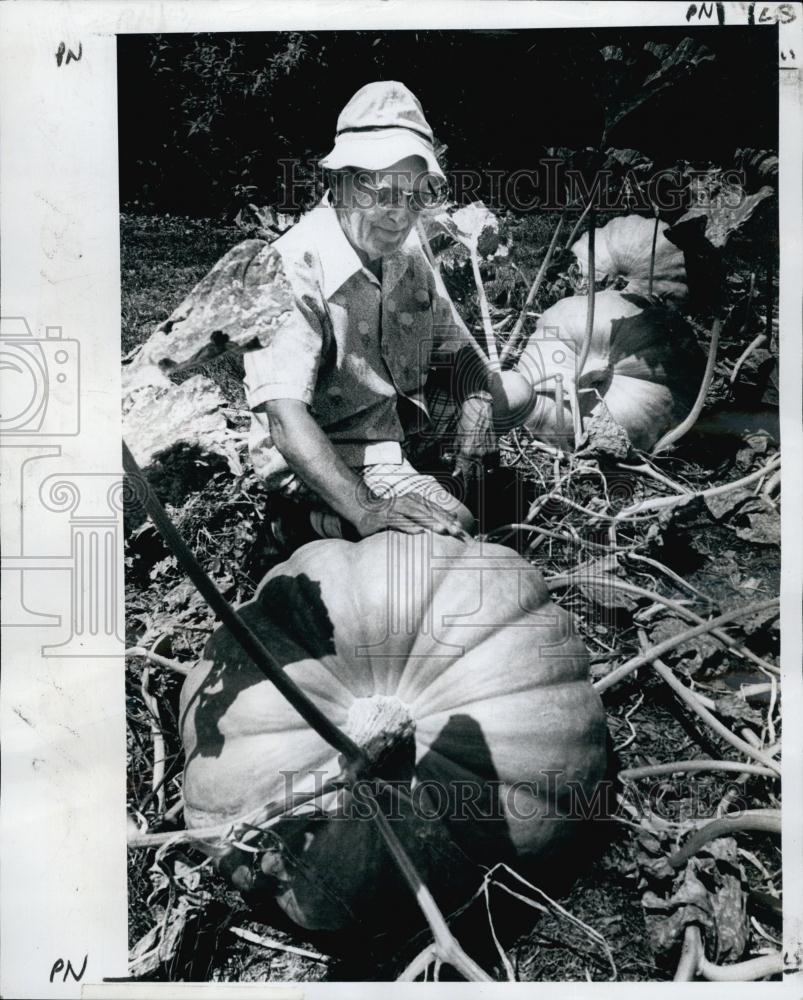 1977 Press Photo William Oliver Pumpkin Garden - RSL64579 - Historic Images