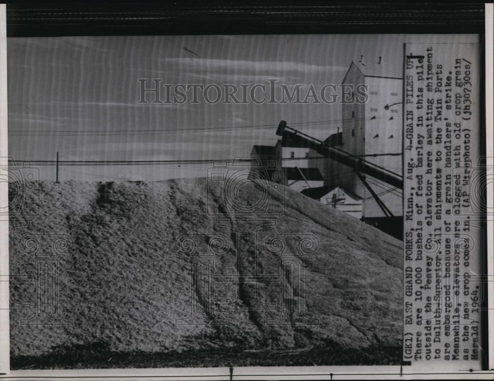 1964 Press Photo Feed barley in piles in Grand Forks, Minn - RSL98675 - Historic Images