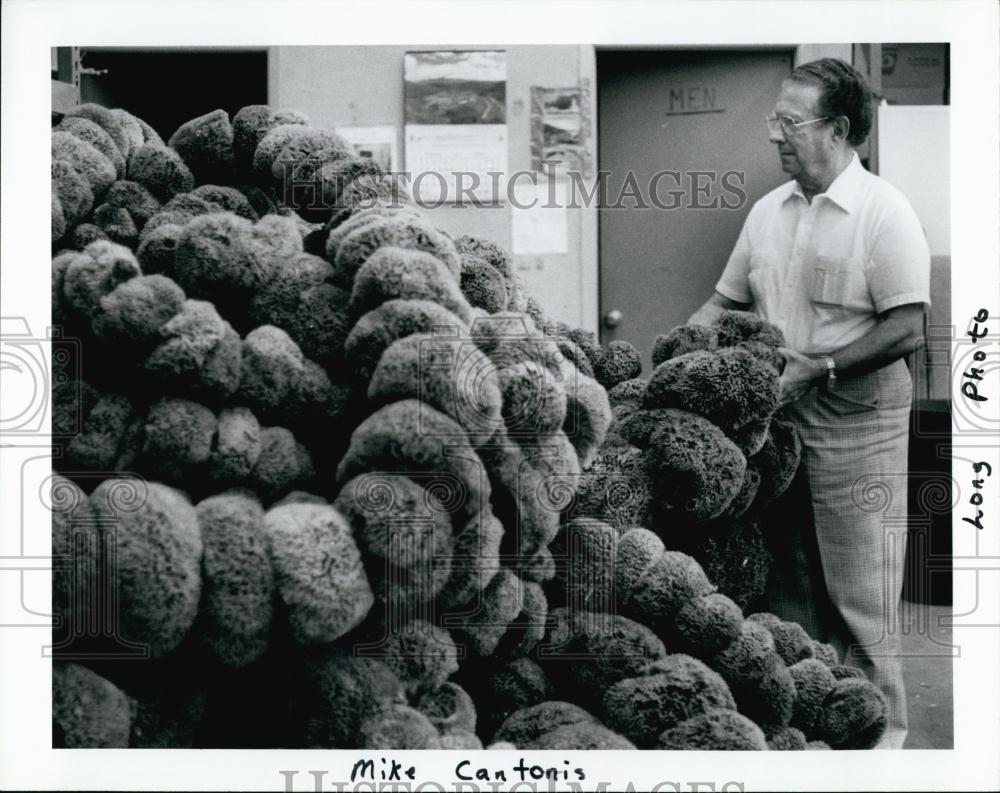 Press Photo Mike Cantonis, Owner, Acme Sponge And Chamois - RSL70033 - Historic Images