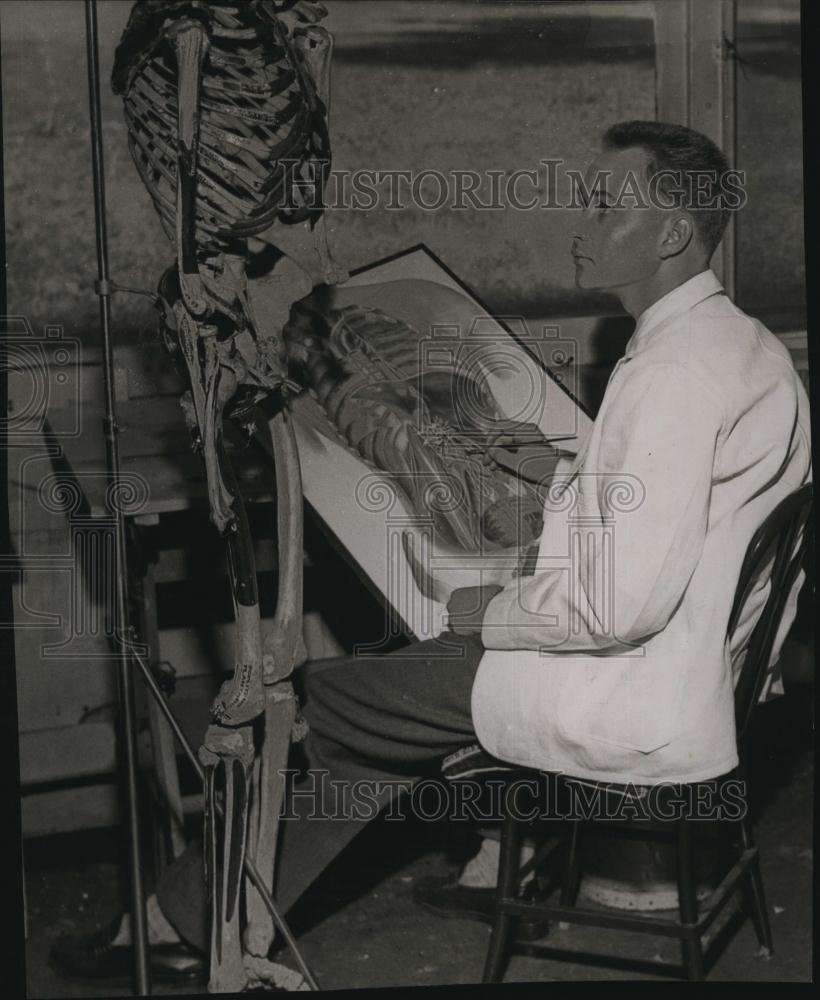 1958 Press Photo Curt F Rosser, Artist, School Of Medical Artists, Anatomy - Historic Images