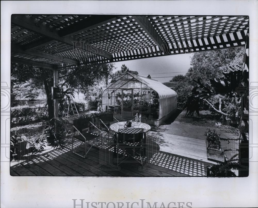 1981 Press Photo Latticework Filters Light Shining On Patio - RSL99637 - Historic Images