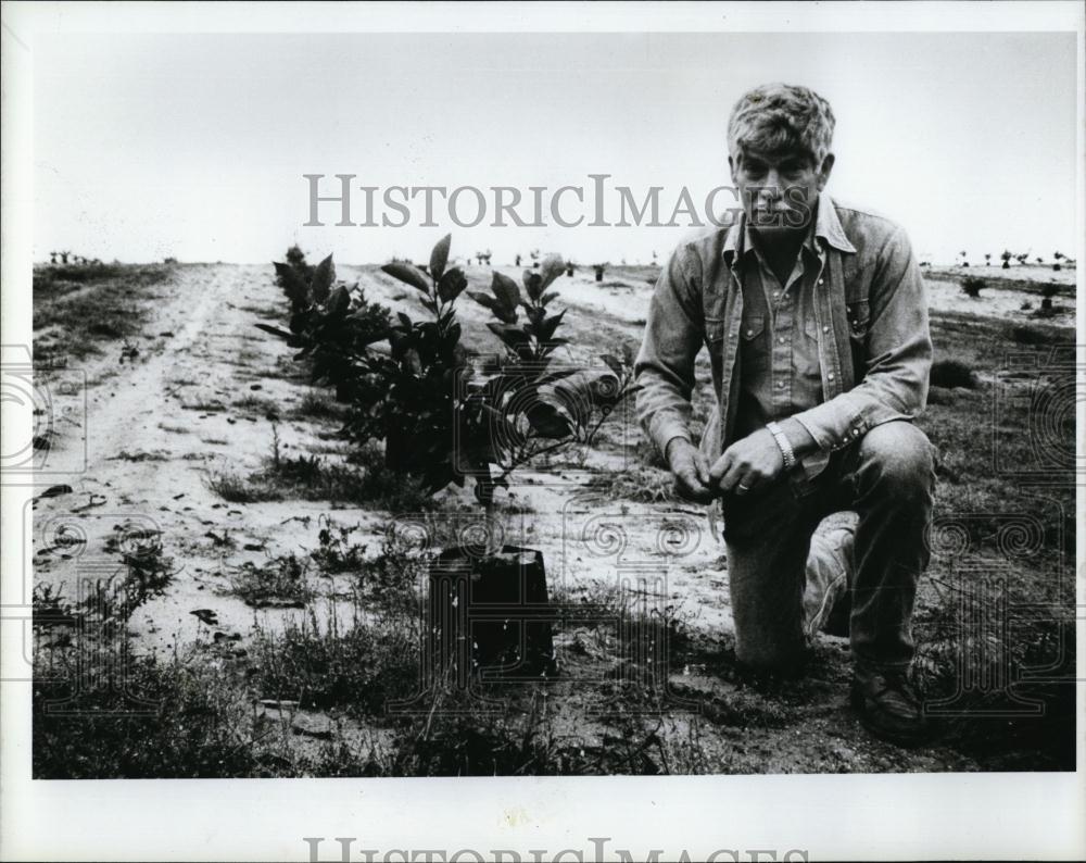 1987 Press Photo Dick Toole, Citrus Grower, Lake County Florida - RSL97397 - Historic Images