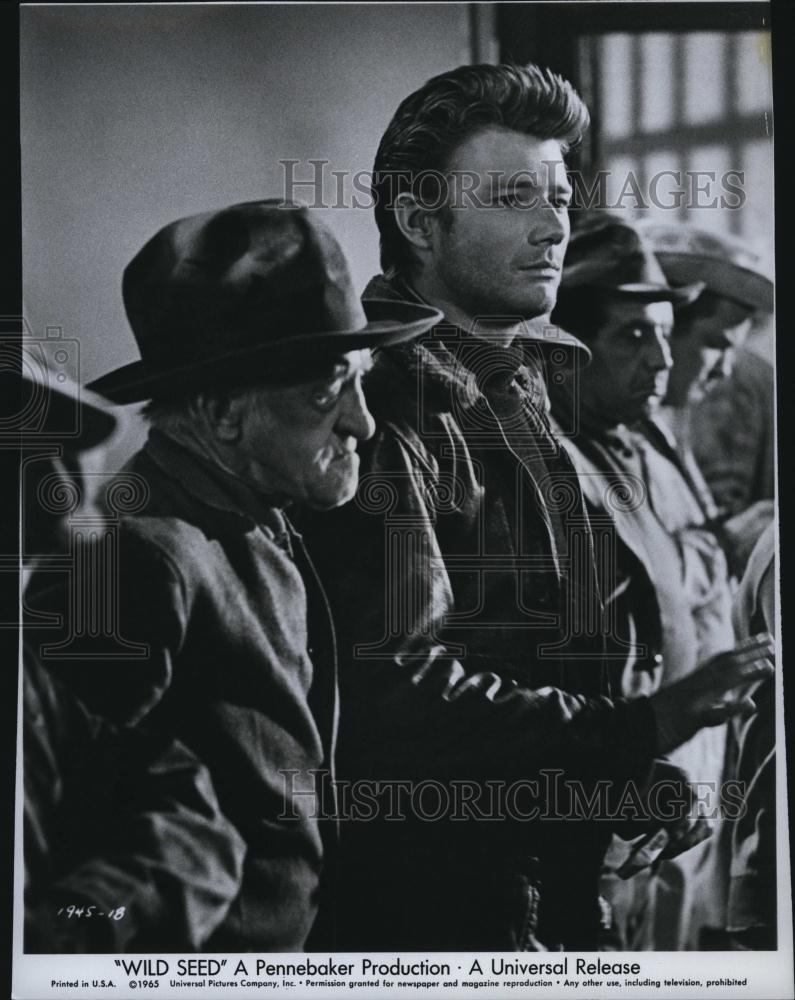 1965 Press Photo Michael Parks &amp; Celia Kaye star in &quot;Wild Seed&quot; - RSL78505 - Historic Images