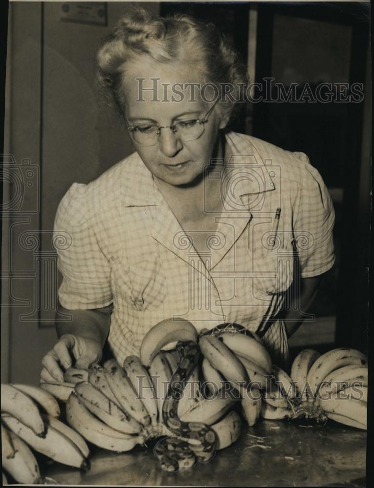 1945 Press Photo Mrs Alta Willis with buch of bananas with a snake in them - Historic Images