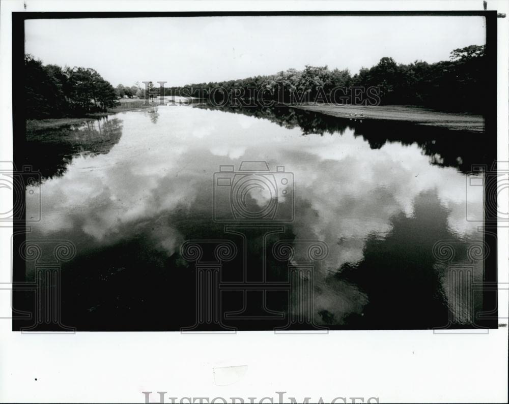 1992 Press Photo Withlacoochee River, Florida - RSL69095 - Historic Images