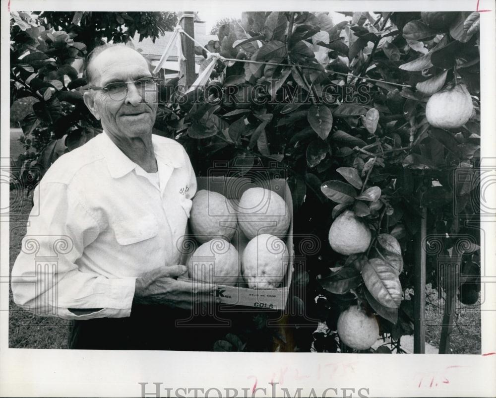 1972 Press Photo Hector Thibeault &amp; Ponderosa Lemons Had 1 Weighed 3lbs 11oz - Historic Images