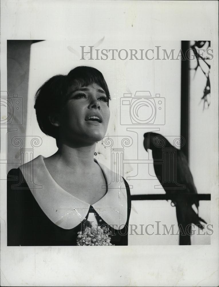 1966 Press Photo Israeli Singer and Writer Rika Zarai Singing Bird in Background - Historic Images