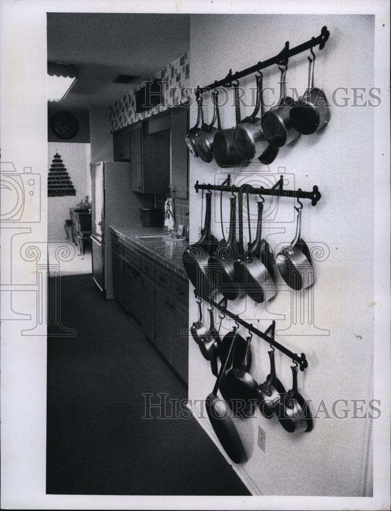 1974 Press Photo Mary Alice LaForest Kitchen Gourmet Cook - RSL92403 - Historic Images