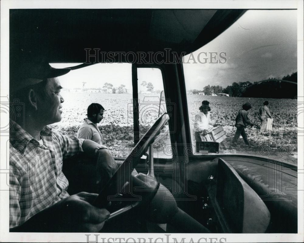 1976 Press Photo Jung Luck supervises harvesting on his farm in Florida - Historic Images