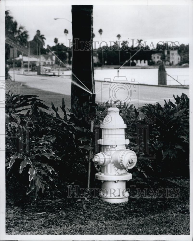 1977 Press Photo Lawn sprinkler located beside fire hydrant - RSL64703 - Historic Images