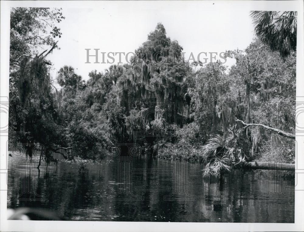 Press Photo The Upper Anclote River marshes in state of Florida - RSL69131 - Historic Images