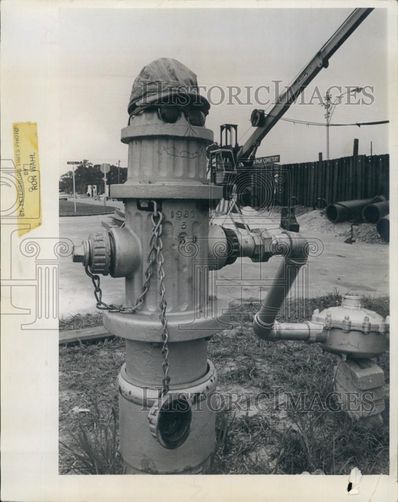 1964 Press Photo Fire Hydrant dressed by city workers - RSL64691 - Historic Images