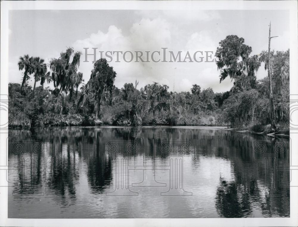 Press Photo The Upper Anclote River marshes in state of Florida - RSL69123 - Historic Images
