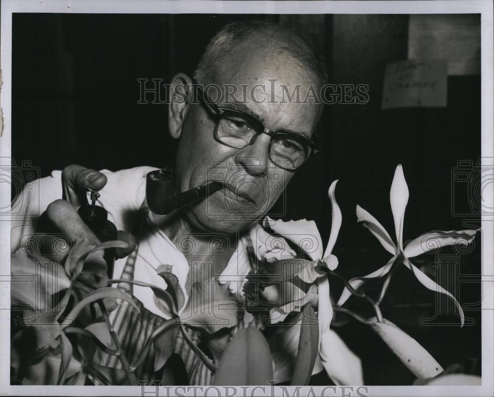 1958 Press Photo Raymond Perry &amp; his orchid growing business - RSL88711 - Historic Images