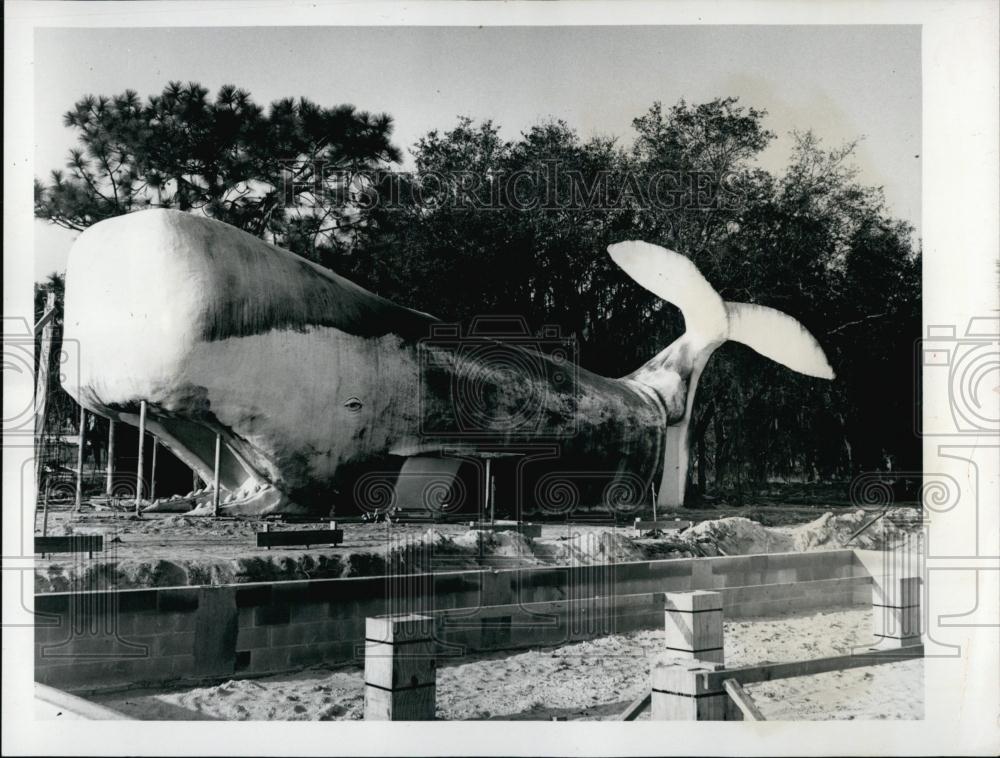 Press Photo White Whale Frame St Petersburg Property Holiday Florida - Historic Images