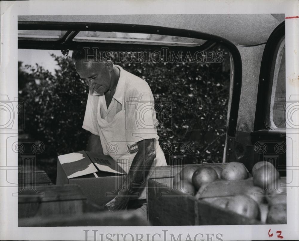 1957 Press Photo Charles Tremayne, Oranges For Charles Jelly House - RSL98923 - Historic Images