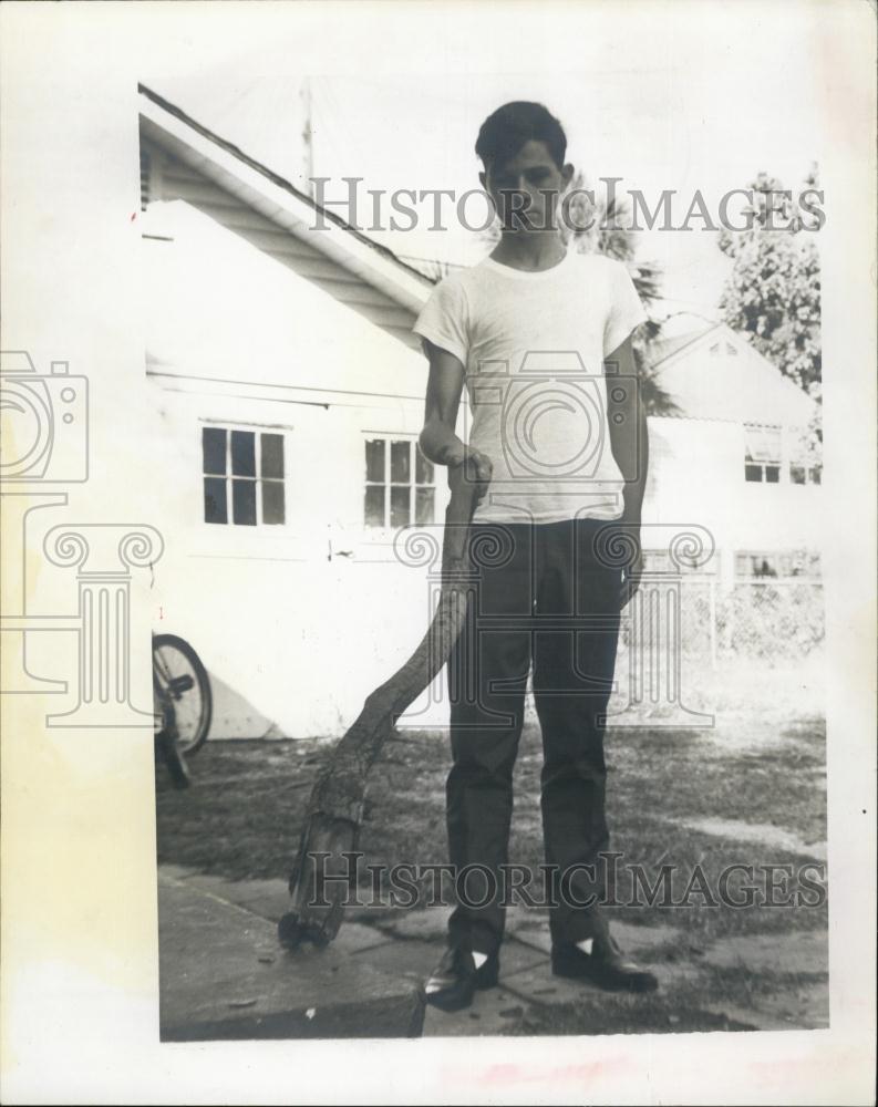 1966 Press Photo Bill Miller Tree Limb Club - RSL65999 - Historic Images