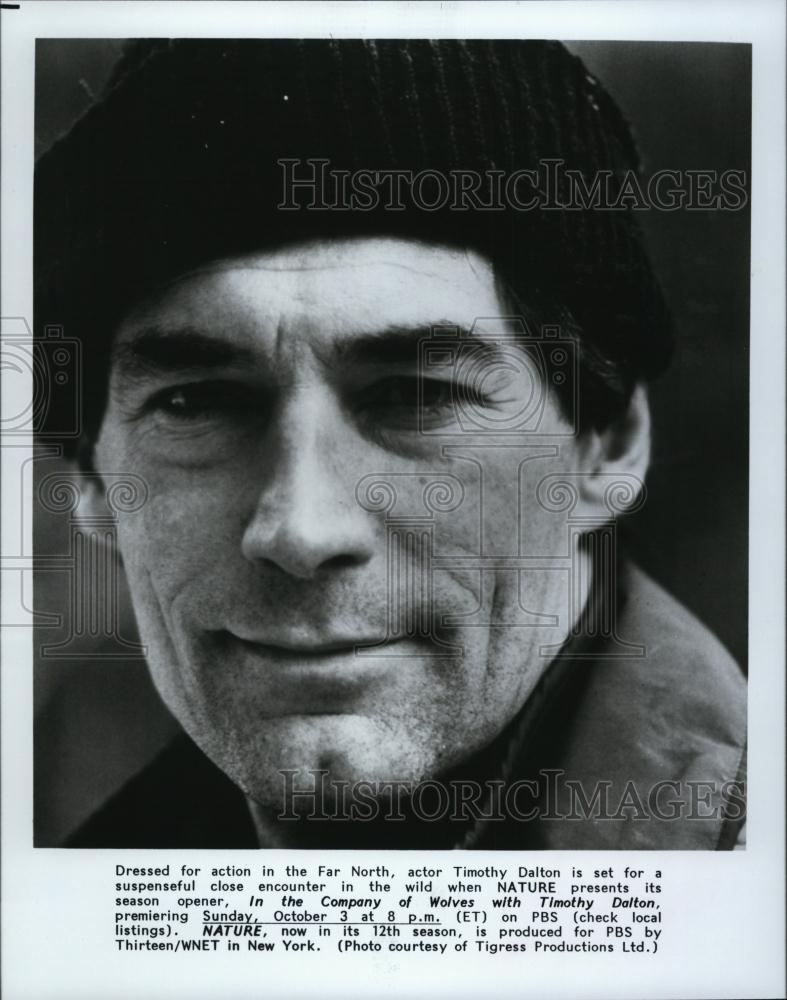 1993 Press Photo Actor Timothy Dalton Documentary Nature The Company Of Wolves - Historic Images