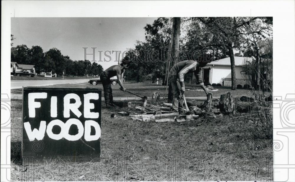 1987 Press Photo Firewood - RSL68871 - Historic Images