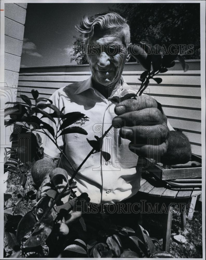 1976 Press Photo George Toney Take a cutting for a new plant - RSL91693 - Historic Images