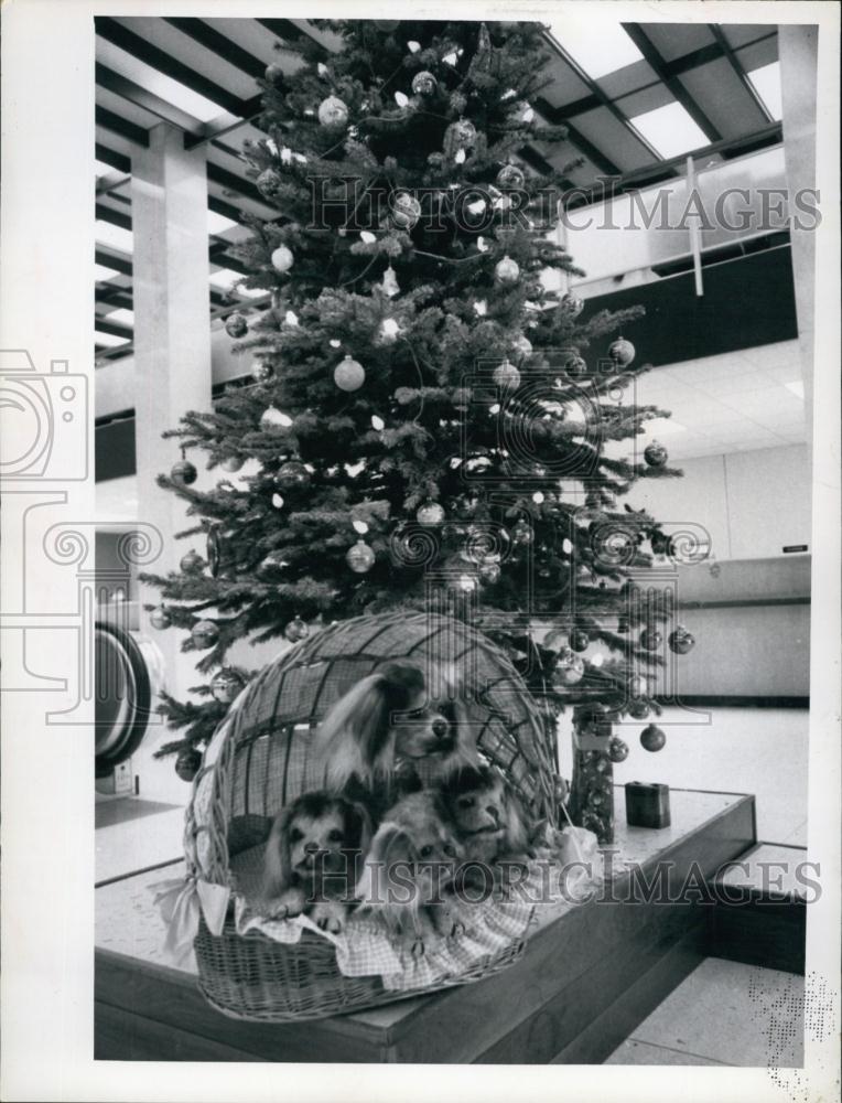 1969 Press Photo Christmas Display at 1st National Bank St Petersburg - Historic Images